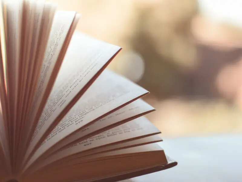 How to Research for a Book: 7 Methods That Work