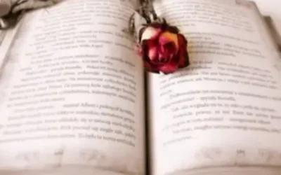 How to Write a Book to Get Published