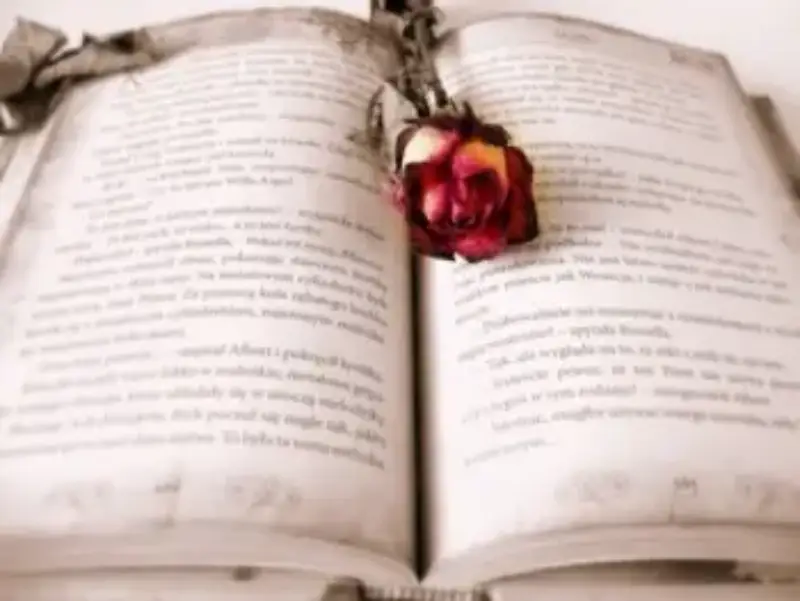 How to Write a Book to Get Published