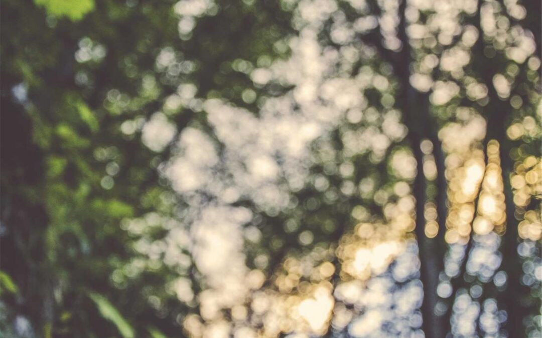7 Simple Ways to Make Money From My Writing Without the Risk