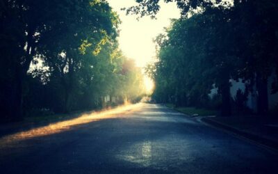 5 Clever Ways to Master How to Write a Novel Blurb by AI Fast
