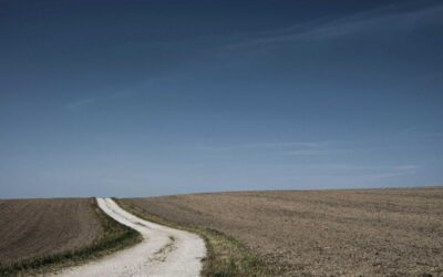 7 Effective Secrets on How to Write Scenes in a Novel Like a Pro