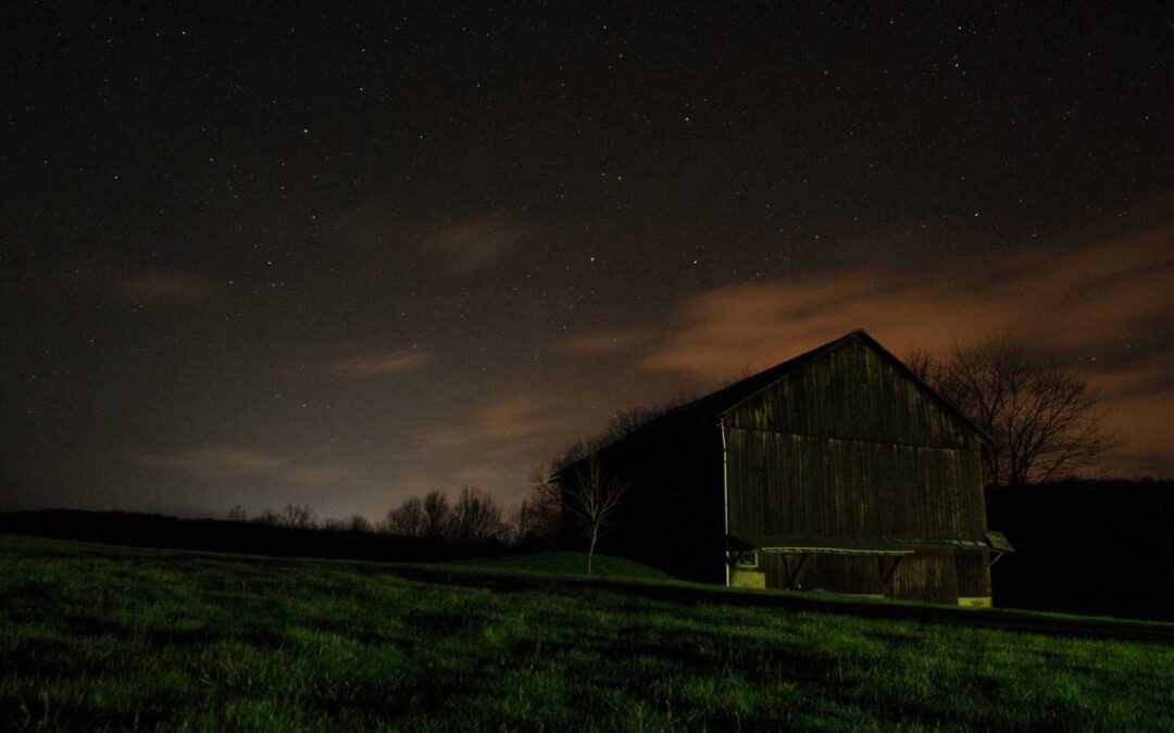 7 Risky Truths: Can I Make Money by Writing Without a Nightmare?