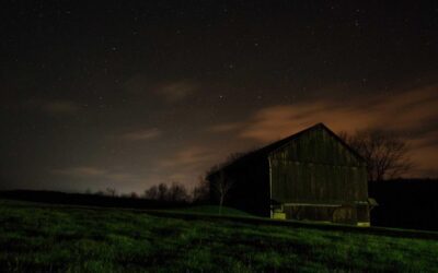 7 Risky Truths: Can I Make Money by Writing Without a Nightmare?