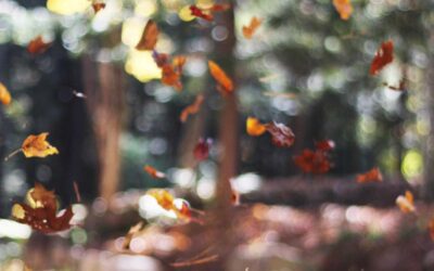 5 Smart Ways to Make Money Writing Quotes and Destroy Your Debt