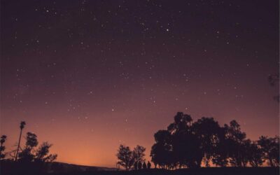 7 Brutal Truths on How to Make Money Writing Stories Online and Win