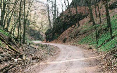 7 Top Secrets on How to Make Money Writing with No Experience Fast
